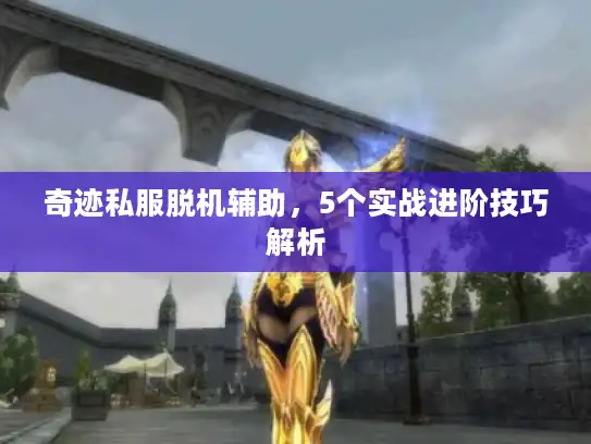 奇迹私服脱机辅助，5个实战进阶技巧解析