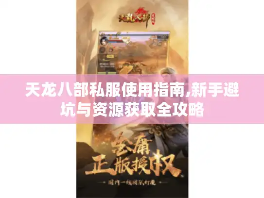 天龙八部私服使用指南,新手避坑与资源获取全攻略