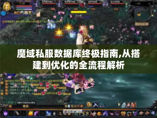 魔域私服数据库终极指南,从搭建到优化的全流程解析