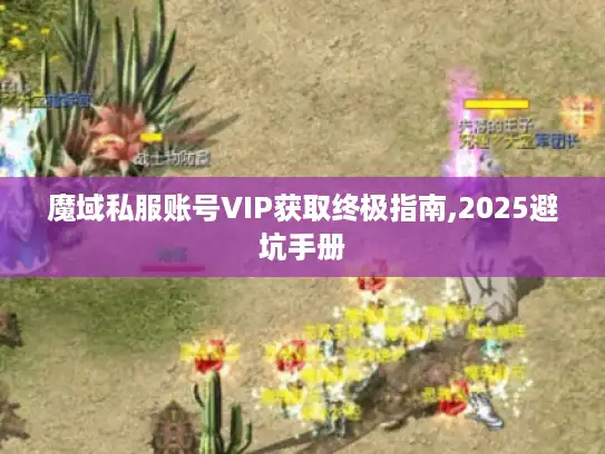 魔域私服账号VIP获取终极指南,2025避坑手册