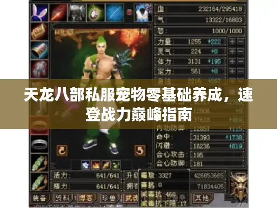 天龙八部私服宠物零基础养成，速登战力巅峰指南