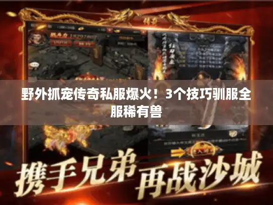 野外抓宠传奇私服爆火!3个技巧驯服全服稀有兽 野外抓宠传奇私服爆火!3个技巧驯服全服稀有兽