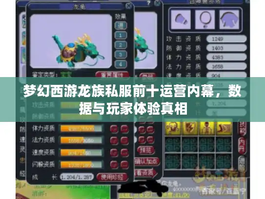 梦幻西游龙族私服前十运营内幕，数据与玩家体验真相