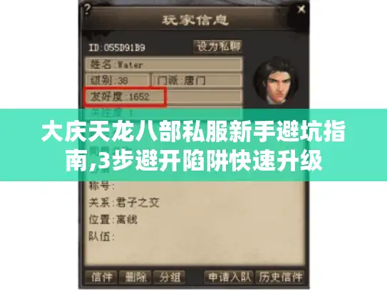 大庆天龙八部私服新手避坑指南,3步避开陷阱快速升级