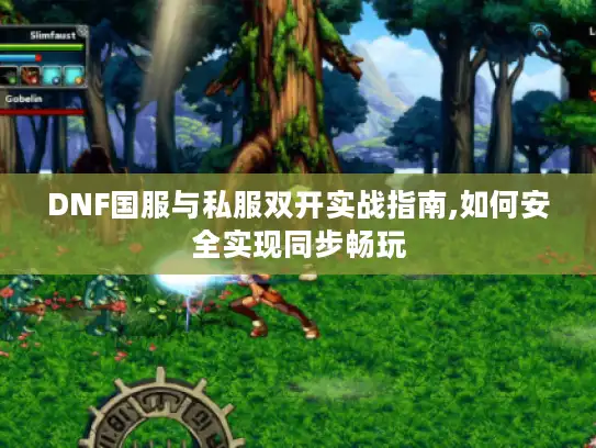 DNF国服与私服双开实战指南,如何安全实现同步畅玩