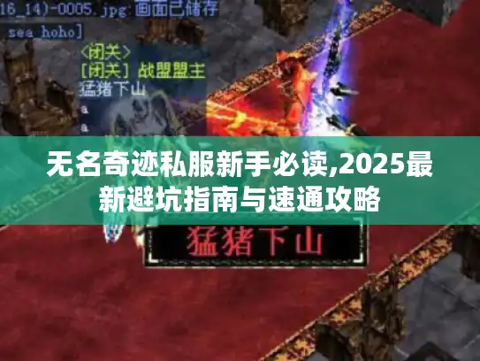 无名奇迹私服新手必读,2025最新避坑指南与速通攻略