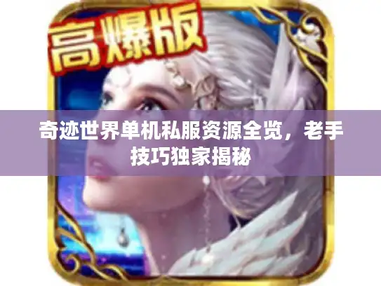 奇迹世界单机私服资源全览，老手技巧独家揭秘