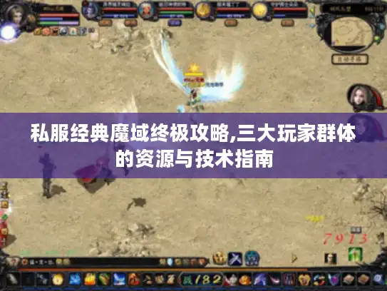 私服经典魔域终极攻略,三大玩家群体的资源与技术指南 私服经典魔域终极攻略,三大玩家群体的资源与技术指南