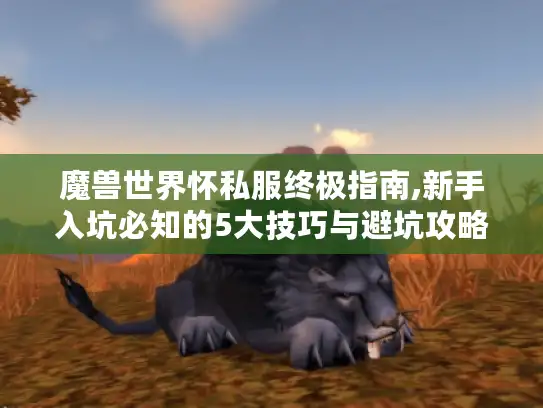 魔兽世界怀私服终极指南,新手入坑必知的5大技巧与避坑攻略 魔兽世界怀私服终极指南,新手入坑必知的5大技巧与避坑攻略