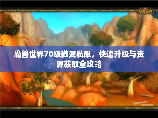 魔兽世界70级微变私服，快速升级与资源获取全攻略
