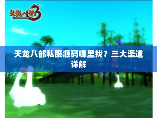 天龙八部私服源码哪里找？三大渠道详解