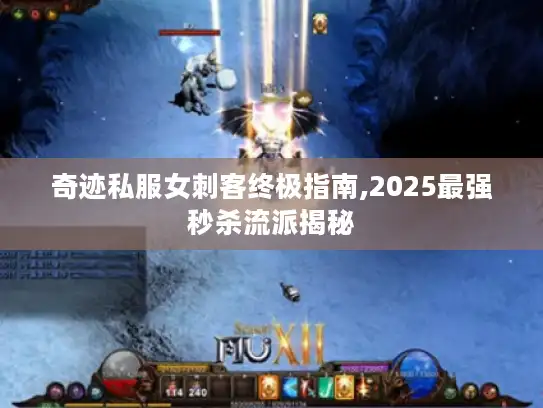 奇迹私服女刺客终极指南,2025最强秒杀流派揭秘