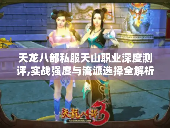 天龙八部私服天山职业深度测评,实战强度与流派选择全解析