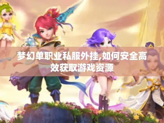 梦幻单职业私服外挂,如何安全高效获取游戏资源 梦幻单职业私服外挂,如何安全高效获取游戏资源