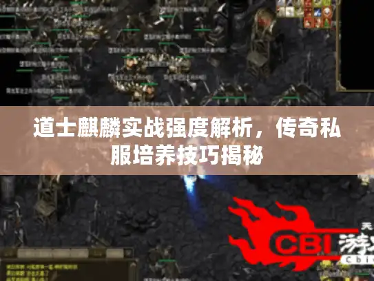 道士麒麟实战强度解析，传奇私服培养技巧揭秘