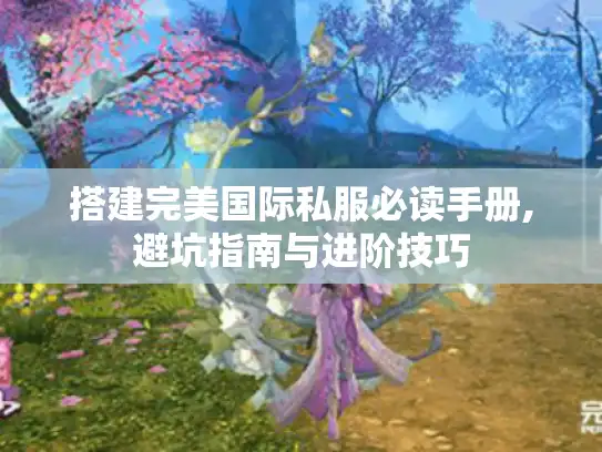 搭建完美国际私服必读手册,避坑指南与进阶技巧