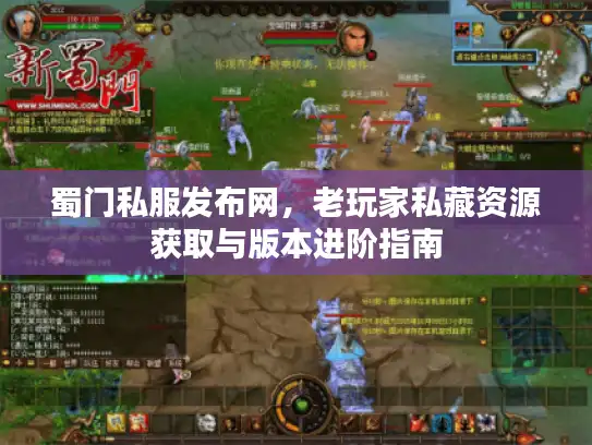 蜀门私服发布网,老玩家私藏资源获取与版本进阶指南 蜀门私服发布网,老玩家私藏资源获取与版本进阶指南
