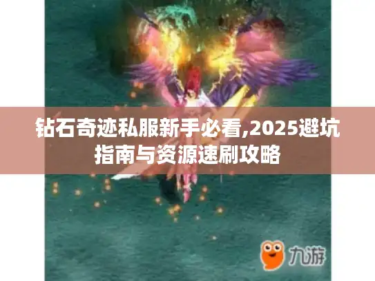 钻石奇迹私服新手必看,2025避坑指南与资源速刷攻略