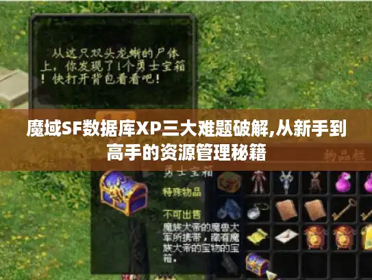 魔域SF数据库XP三大难题破解,从新手到高手的资源管理秘籍
