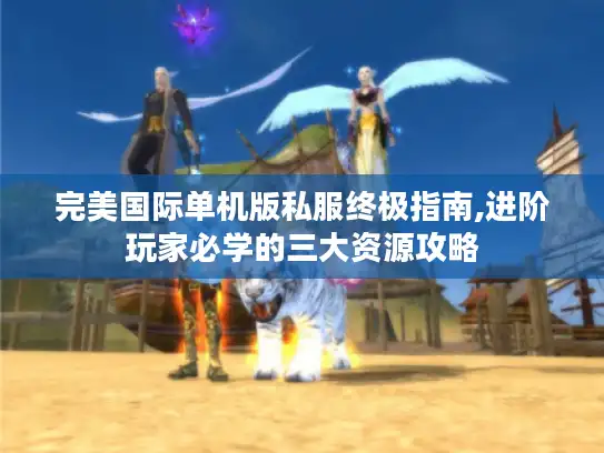 完美国际单机版私服终极指南,进阶玩家必学的三大资源攻略