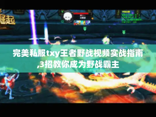 完美私服txy王者野战视频实战指南,3招教你成为野战霸主