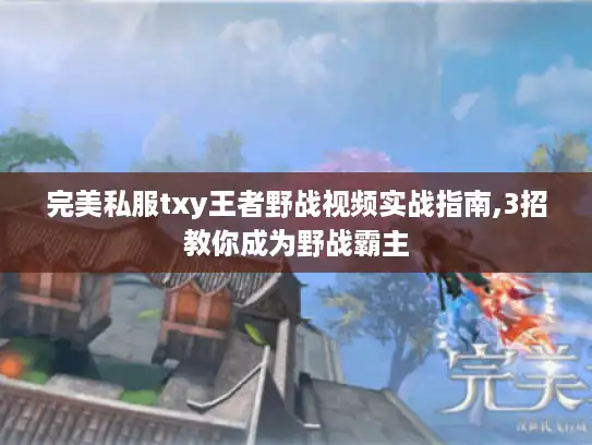 完美私服txy王者野战视频实战指南,3招教你成为野战霸主