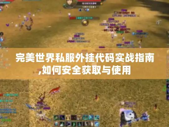 完美世界私服外挂代码实战指南,如何安全获取与使用 完美世界私服外挂代码实战指南,如何安全获取与使用