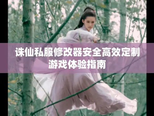 诛仙私服修改器安全高效定制游戏体验指南