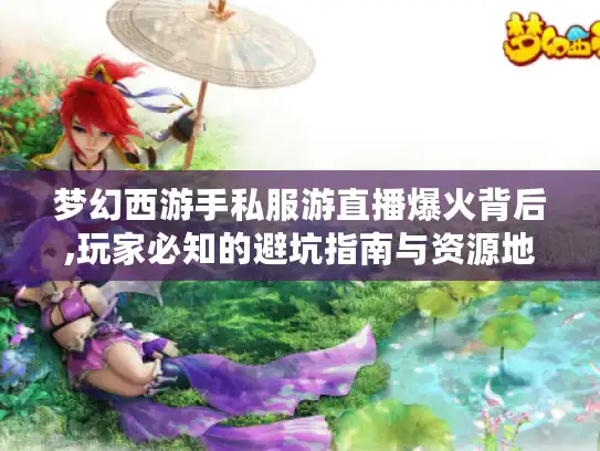梦幻西游手私服游直播爆火背后,玩家必知的避坑指南与资源地图
