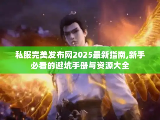 私服完美发布网2025最新指南,新手必看的避坑手册与资源大全 私服完美发布网2025最新指南,新手必看的避坑手册与资源大全
