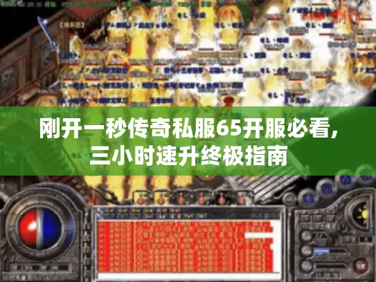 刚开一秒传奇私服65开服必看,三小时速升终极指南