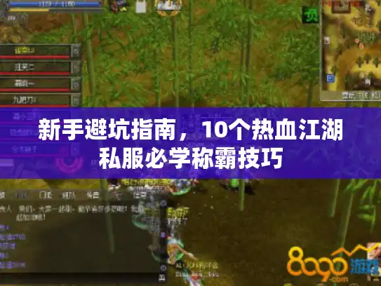 新手避坑指南，10个热血江湖私服必学称霸技巧