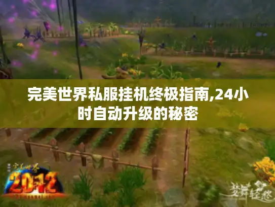 完美世界私服挂机终极指南,24小时自动升级的秘密