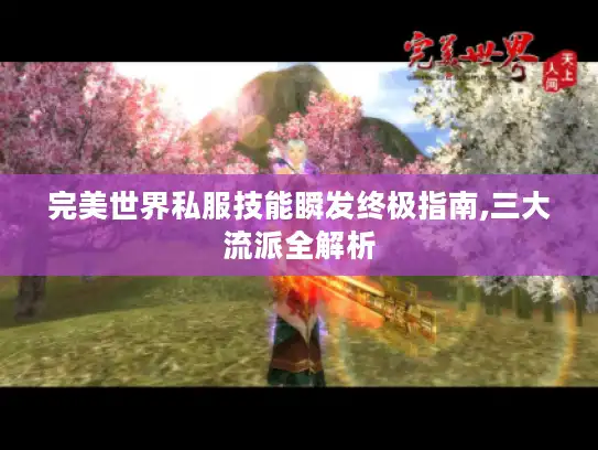 完美世界私服技能瞬发终极指南,三大流派全解析