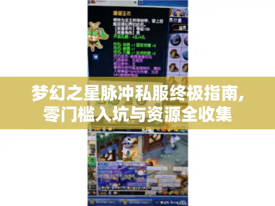 梦幻之星脉冲私服终极指南,零门槛入坑与资源全收集