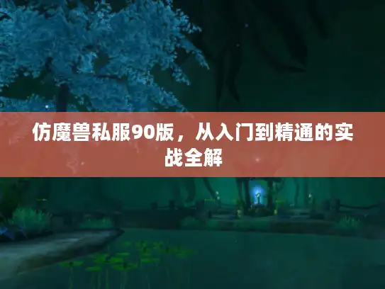 仿魔兽私服90版，从入门到精通的实战全解