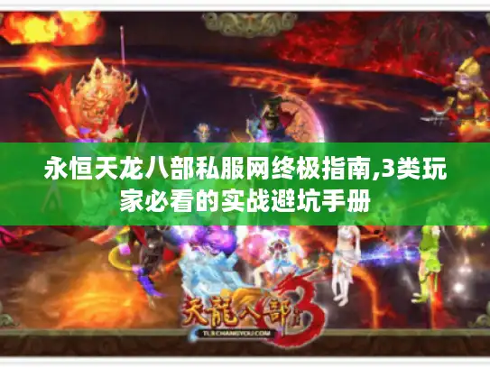 永恒天龙八部私服网终极指南,3类玩家必看的实战避坑手册