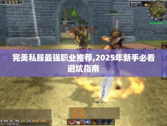 完美私服最强职业推荐,2025年新手必看避坑指南 完美私服最强职业推荐,2025年新手必看避坑指南