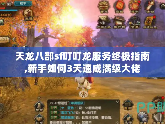 天龙八部sf叮叮龙服务终极指南,新手如何3天速成满级大佬
