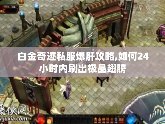 白金奇迹私服爆肝攻略,如何24小时内刷出极品翅膀