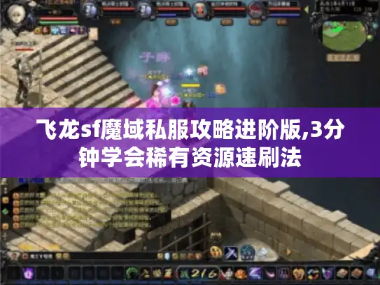 飞龙sf魔域私服攻略进阶版,3分钟学会稀有资源速刷法