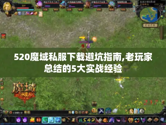 520魔域私服下载避坑指南,老玩家总结的5大实战经验
