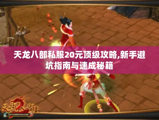 天龙八部私服20元顶级攻略,新手避坑指南与速成秘籍