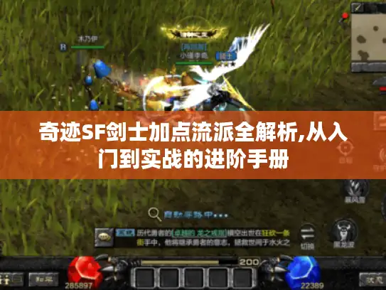 奇迹SF剑士加点流派全解析,从入门到实战的进阶手册 奇迹SF剑士加点流派全解析,从入门到实战的进阶手册