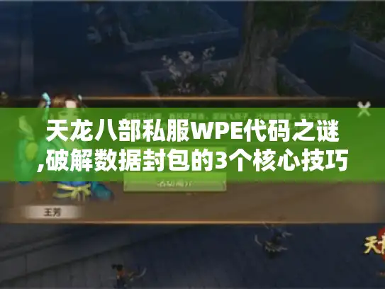 天龙八部私服WPE代码之谜,破解数据封包的3个核心技巧