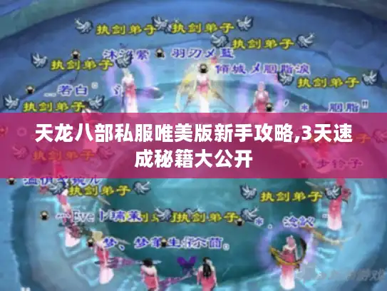 天龙八部私服唯美版新手攻略,3天速成秘籍大公开