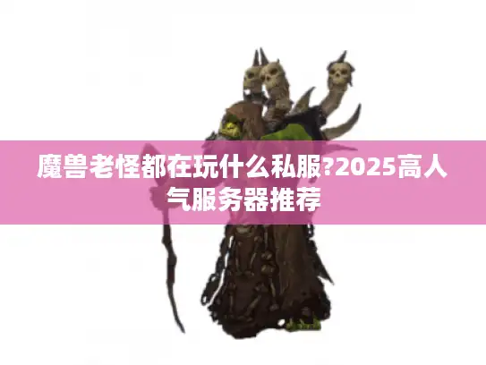 魔兽老怪都在玩什么私服?2025高人气服务器推荐