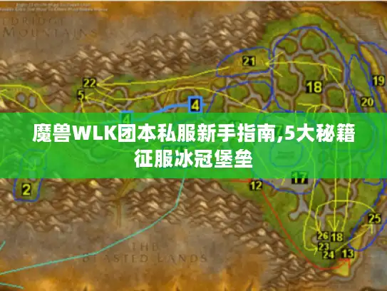 魔兽WLK团本私服新手指南,5大秘籍征服冰冠堡垒