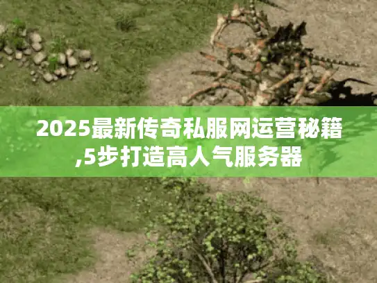 2025最新传奇私服网运营秘籍,5步打造高人气服务器