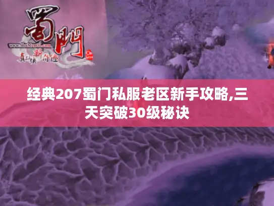 经典207蜀门私服老区新手攻略,三天突破30级秘诀